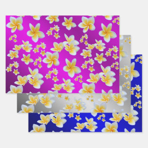 frangipani, petal, flower, design, blossom, plumer wrapping paper sheet