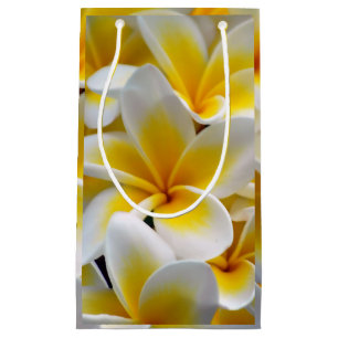 Frangipani Plumeria Flower Photo Small Gift Bag