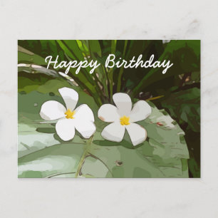 Frangipani Plumeria flowers on green Birthday Postcard
