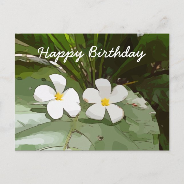 Frangipani Plumeria flowers on green Birthday Postcard (Front)