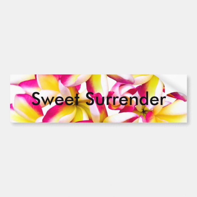 Frangipani temple flower bumper sticker (Front)