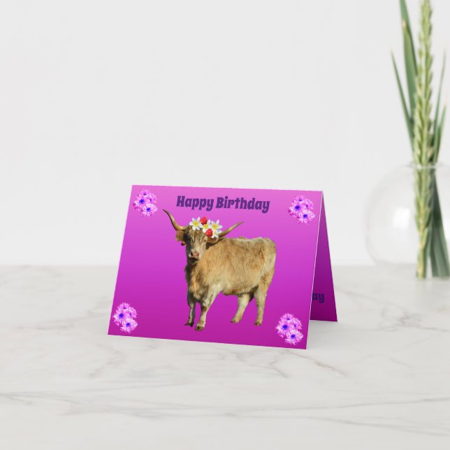 Frangipani The Highland Cow, Card (Front)