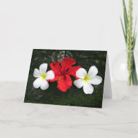 frangipani threesome