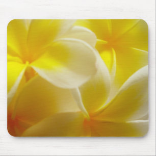Frangipanis Mouse Pad