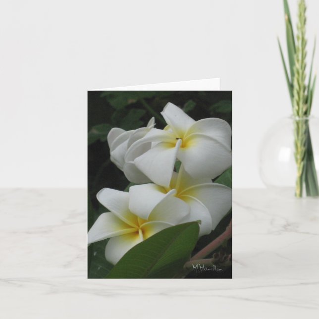 Frangipanis Note Cards (Front)