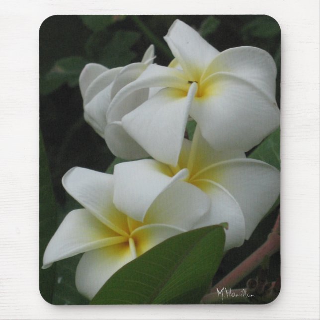 Frangipanis Photo Mousepad (Front)