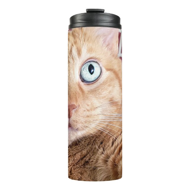 Frankie Thermal Tumbler (Front)