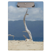 Frankland Islands - Australia