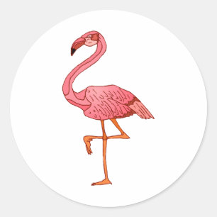 Franklin Flamingo Classic Round Sticker