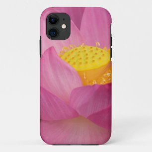 Franklin NC, Perry's Water Garden, Lotus 2 iPhone 11 Case