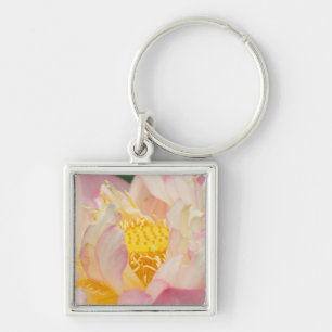 Franklin NC, Perry's Water Garden, Lotus with Key Ring