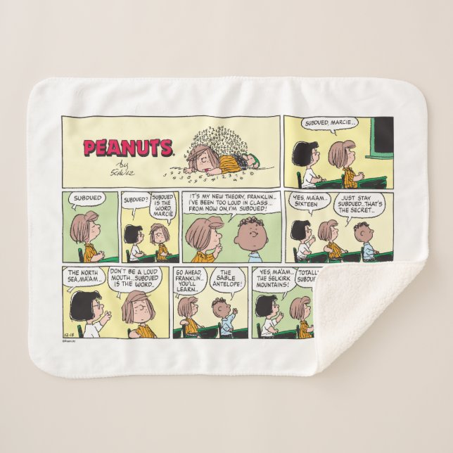 Franklin, Peppermint Patty & Marcie | Math Class Sherpa Blanket (Front (Horizontal))