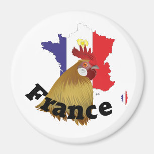Frankreich France Francia Magnete Magnet