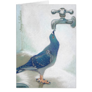 Frank's Pidgeon