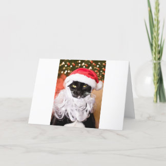 Franny Claus Sad Santa Kitty Holiday Card