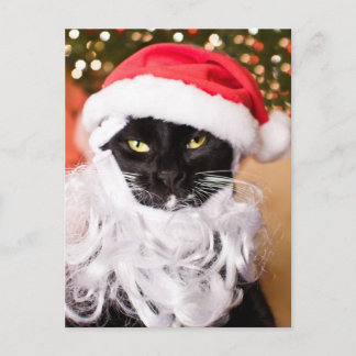 Franny Claus Sad Santa Kitty Holiday Postcard