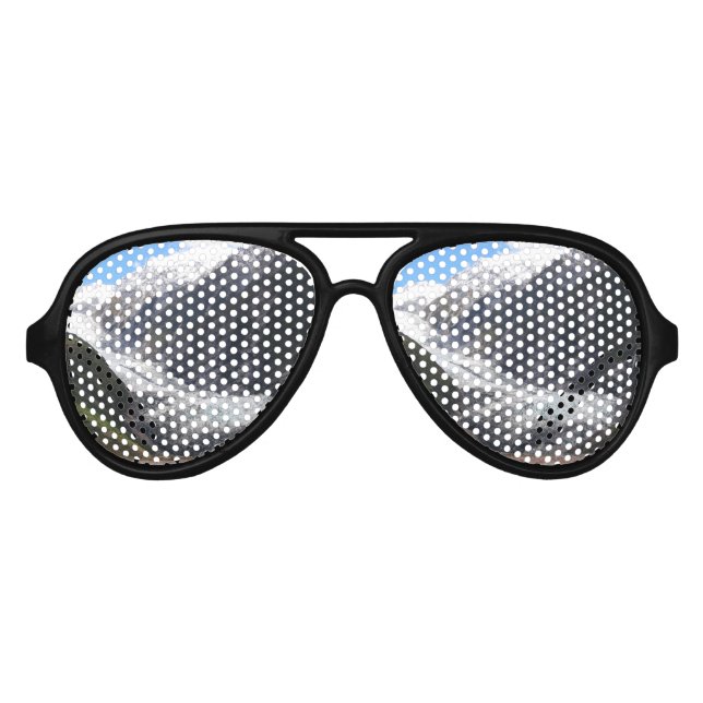 Franz Josef Glacier, New Zealand Aviator Sunglasses (Front)