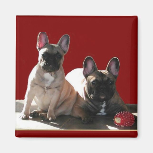 Französische Buldoggen Flo und Fips  Magnet (Front)