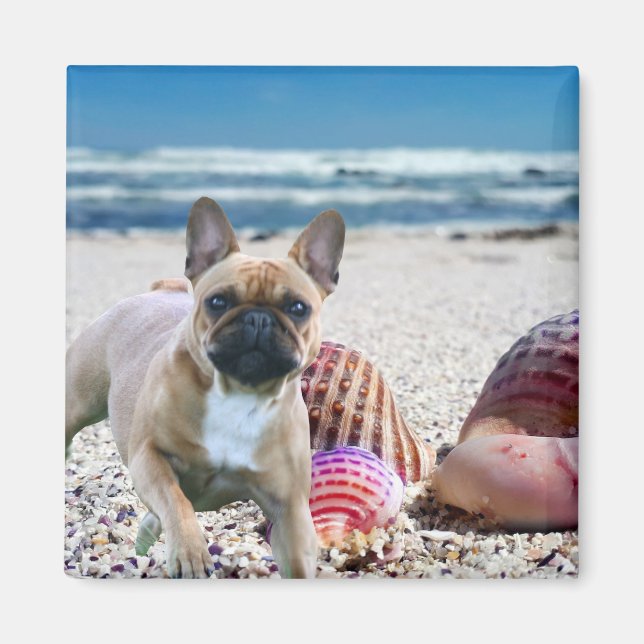 Französische Bulldogge am Strand Magnet (Front)