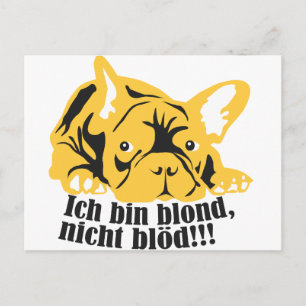 Französische Bulldogge: Blonde! Postcard