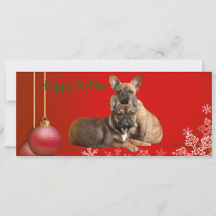französische Bulldogge Grusskarte Weihnachten Save The Date
