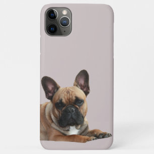 Französische Bulldogge iPhone 11 Pro Max Hülle Case-Mate iPhone Case