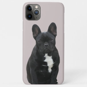 Französische Bulldogge iPhone 11 Pro Max Hülle Case-Mate iPhone Case