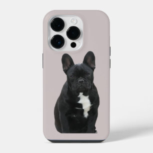 Französische Bulldogge iPhone 14 Pro Case Mate