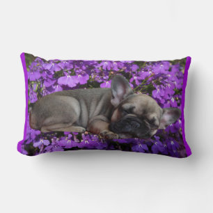 Französische Bulldogge Kissen Lumbar Cushion