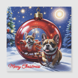 Französische Bulldogge mit Christbaumkugel