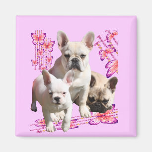 Französische Bulldogge mit drei Bulldoggen in Pink Magnet