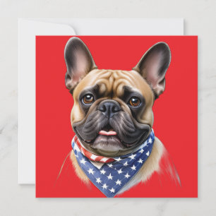 französische Bulldogge mit Halstuch Amerika