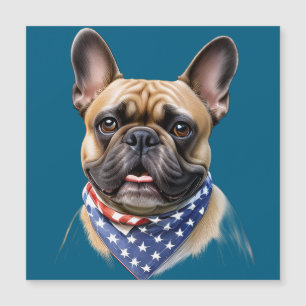 französische Bulldogge mit Halstuch Amerika