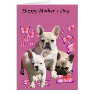 Französische Bulldogge Muttertag Karte