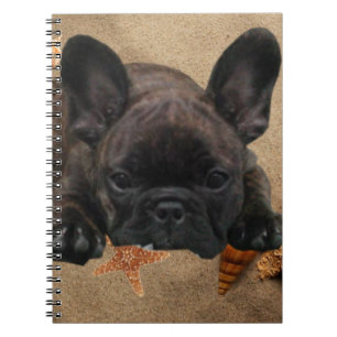 Französische Bulldogge Notizbuch Notebook