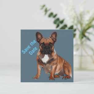 Französische Bulldogge play with fun Save The Date