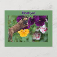 Französische Bulldogge Postkarte