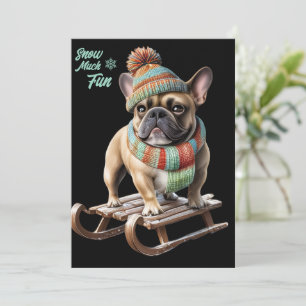 Französische Bulldogge Schlittenfahrt