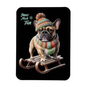 Französische Bulldogge Schlittenfahrt Magnet