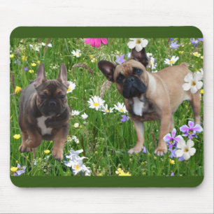 Französische. Bulldogge T Shirt Mouse Pad