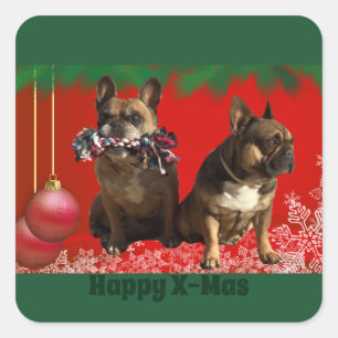 französische Bulldogge Weihnachten Aufkleber Square Sticker