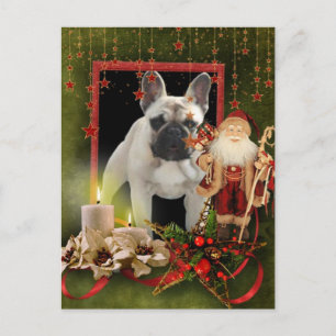 Französische Bulldogge Weihnachtskarte Postcard