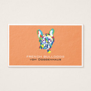 Französische Bulldogge Welpe