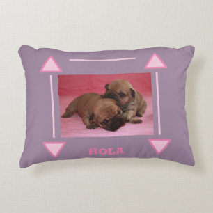 Französische Bulldogge Welpe Decorative Cushion