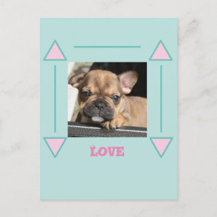 Französische Bulldogge Welpe Postcard