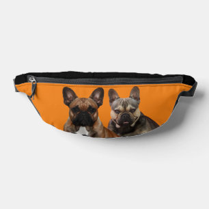 Französische Bulldoggen  Bum Bags