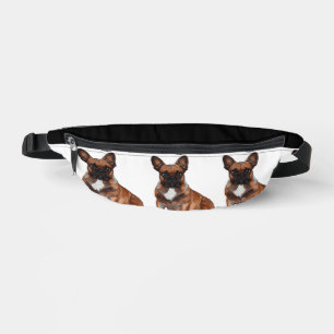 Französische Bulldoggen  Bum Bags