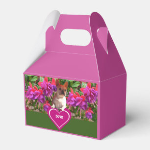 Französische Bulldoggen Favour Box