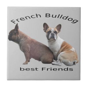 Französische Bulldoggen Fliese Tile