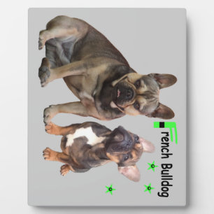 Französische Bulldoggen Fotoplatte Plaque